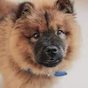 Meet your Posher, Avery